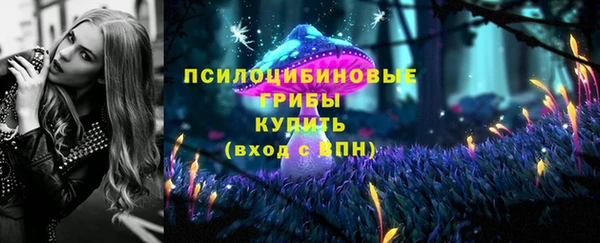 mdpv Алексин