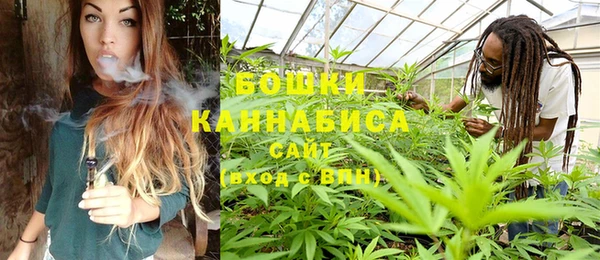 PSILOCYBIN Алексеевка