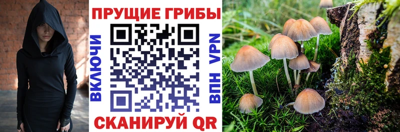 где купить наркоту darknet состав Псилоцибиновые грибы Psilocybine cubensis Миньяр OMG ONION