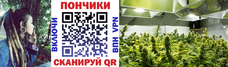 Шишки марихуана VHQ  где найти наркотики  Миньяр 